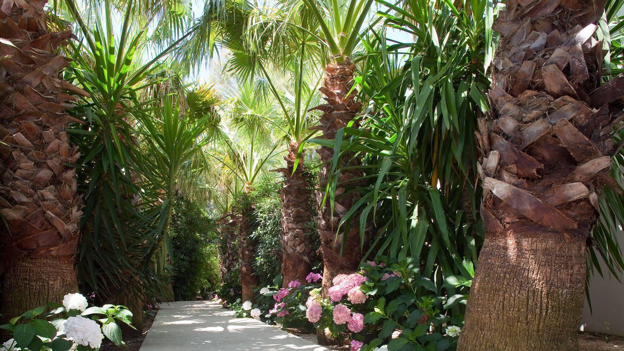 Hotel Mangio Fango Et Les Saintes-Maries-de-la-Mer
